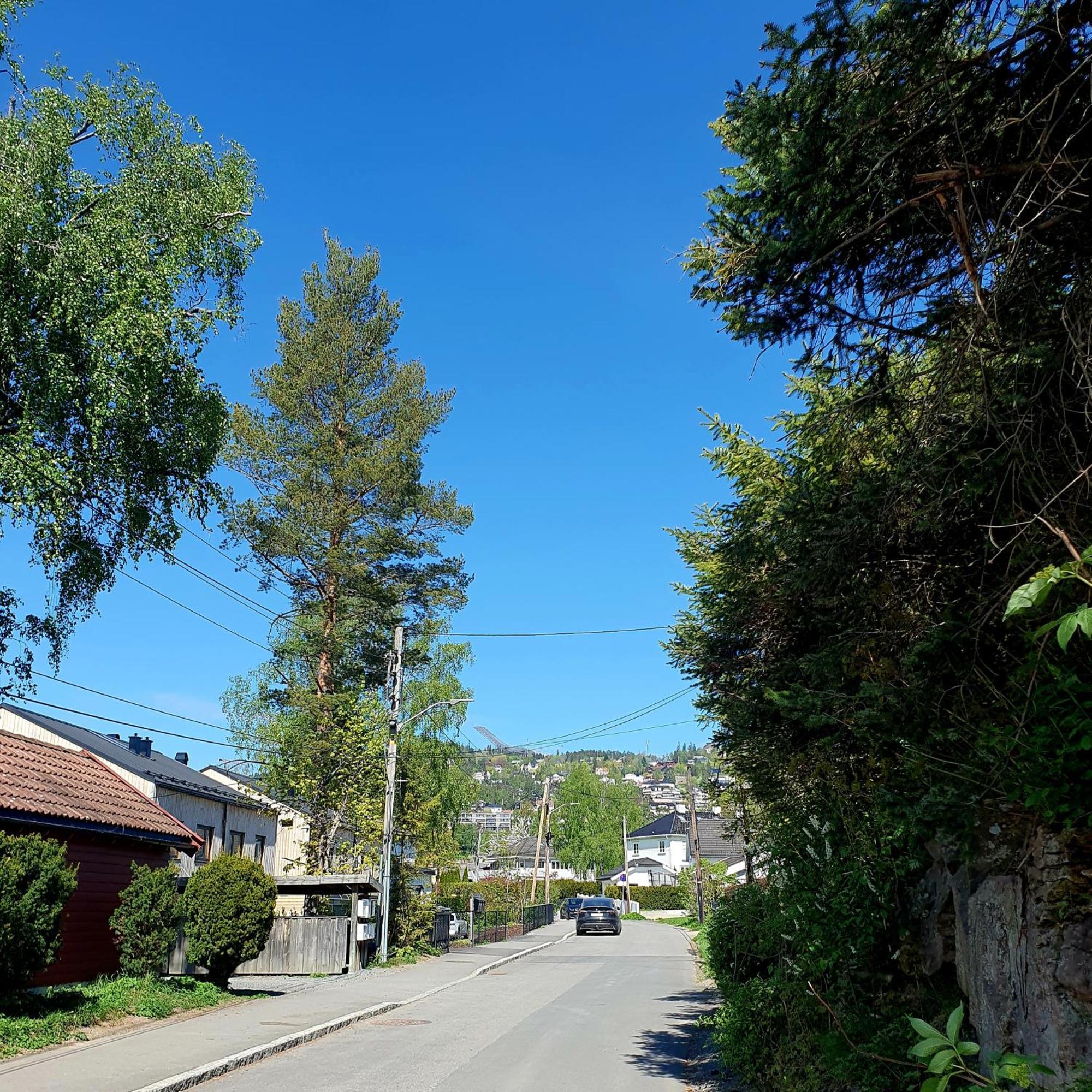 Tranquil In Picturesque Neighborhood *
