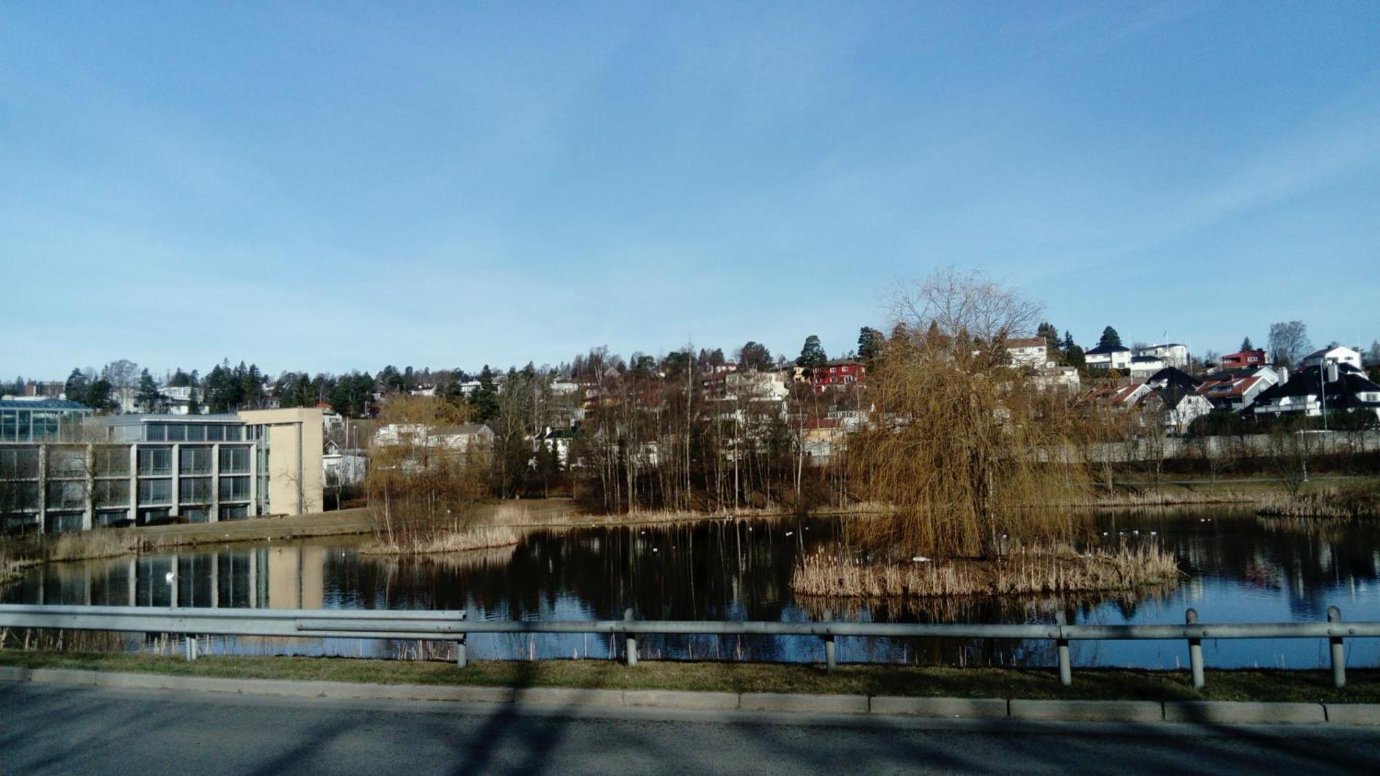 Tranquil In Picturesque Neighborhood * Oslo