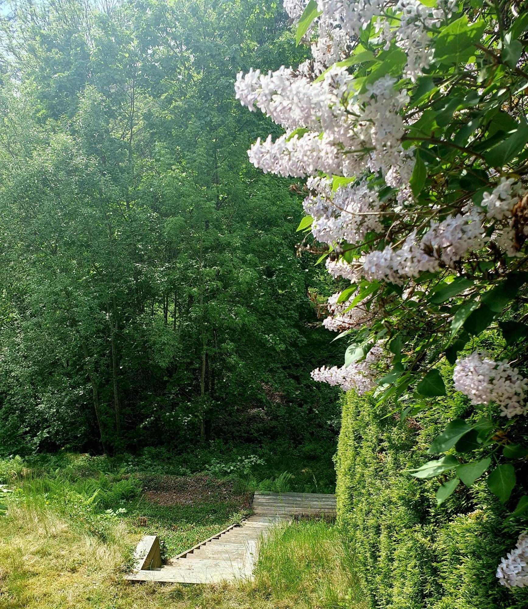 Tranquil In Picturesque Neighborhood Apartment