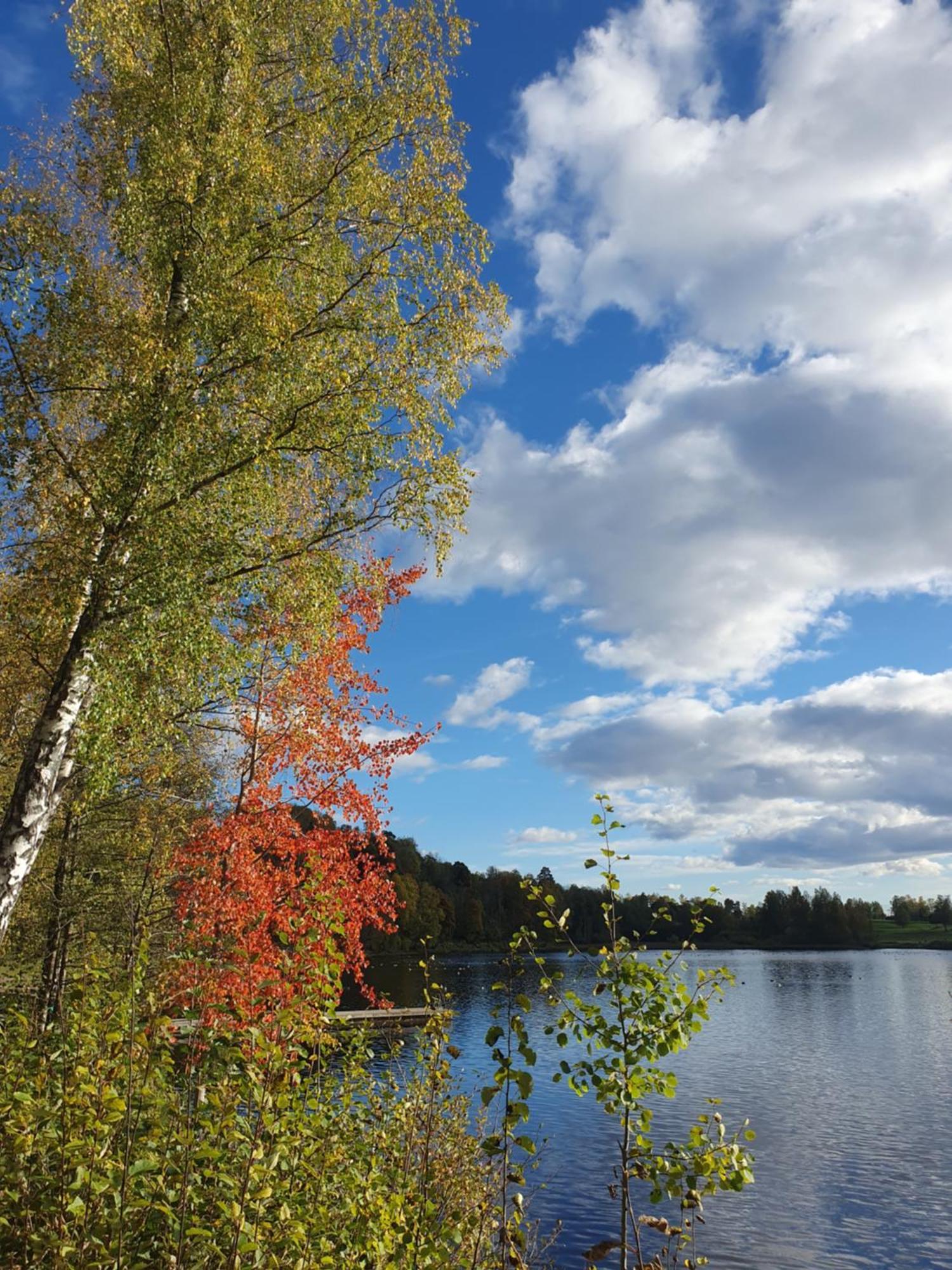 Tranquil In Picturesque Neighborhood